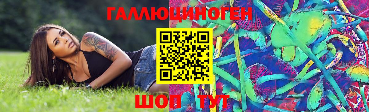 Новошахтинск  Псилоцибиновые грибы MAGIC MUSHROOMS  Вход с VPN 