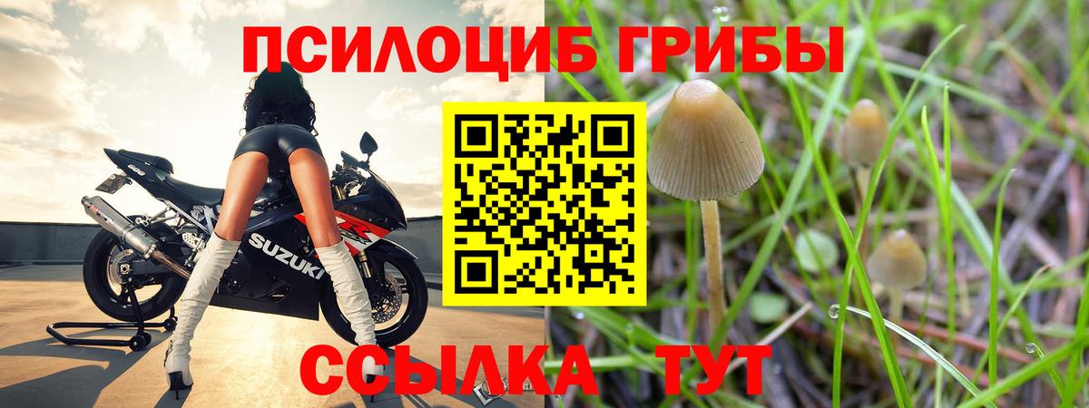 Галлюциногенные грибы мухоморы Новошахтинск